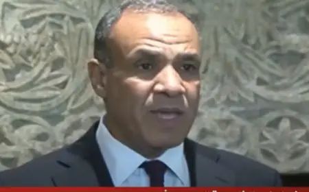 خلال مؤتمر صحفي مع نظيره اللبناني ..وزير الخارجية: مصر تكثف اتصالاتها لخفض التصعيد الإقليمي والتوصل لوقف فوري لإطلاق النار بغزة