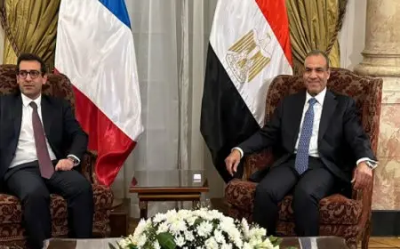 بال .. مباحثات بين وزير الخارجية ونظيره الفرنسي حول جهود التوصل لوقف إطلاق النار في غزة