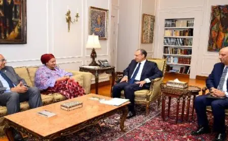 الخارجية: مصر تثمن شراكتها مع الأمم المتحدة وتجدد التزامها بالعمل على تحقيق أهداف التنمية المستدامة
