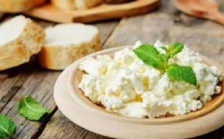 كيف يساعد تناول الجبنة القريش في إنقاص الوزن