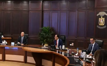 رئيس الوزراء يطالب بالتوسع في صناعة السيارات بمصر