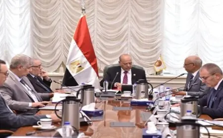 وزير العمل: إنفاق 236 مليون جنيه لتطوير منظومة التدريب والتأهيل