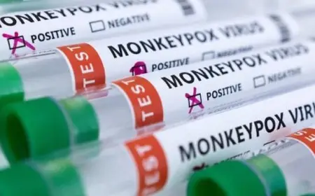 تسجيل 330 حالة إصابة بجدري القرود في منطقة جوما شرق الكونغو الديمقراطية