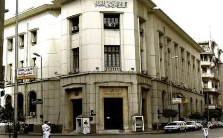 “المركزي المصري” يستضيف برنامجا تدريبيا حول تحليل البيانات الضخمة والذكاء الاصطناعي