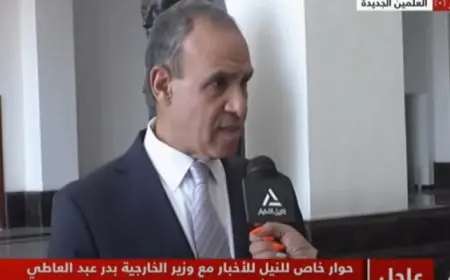 بدر عبد العاطي للنيل للأخبار: المباحثات مع بلينكن تناولت تطورات الأوضاع في قطاع غزة