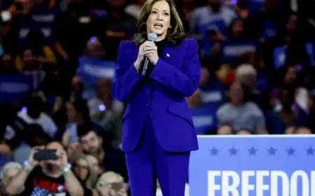 رسميا.. الحزب الديمقراطي يعتمد هاريس لخوض السباق الرئاسي