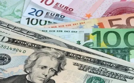 الدولار يهبط لأدنى مستوى هذا العام مقابل اليورو