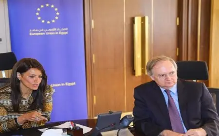 بال .. المشاط تبدأ سلسلة اجتماعات مع شركاء التنمية لمناقشة جهود تعزيز التنمية الاقتصادية