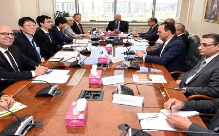 وزير الصناعة و النقل يلتقي السفير الياباني بالقاهرة لمتابعة الموقف التنفيذي للمشروعات المشتركة