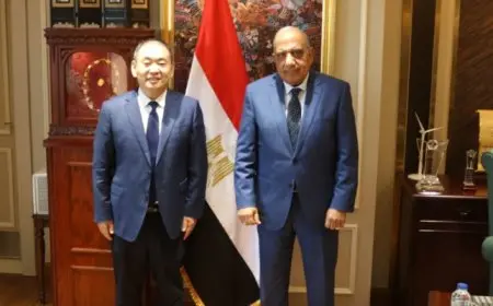 وزير الكهرباء يبحث مع “هواوي” التحول لشبكة الكهرباء الذكية