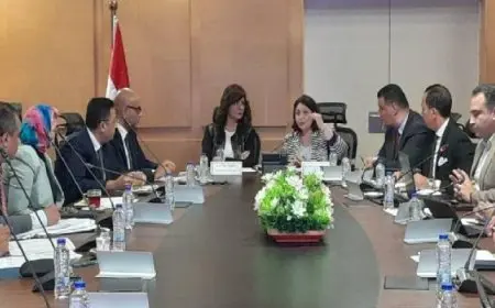 التضامن والتربية والتعليم والتنمية المحلية والتحالف الوطني يبحثون إمكانية إنشاء حضانات بقرى حياة كريمة