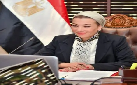 خلال اجتماع الحكومة اليوم.. وزيرة البيئة تستعرض الخطة الاستراتيجية للاستعداد والتعامل مع نوبات تلوث الهواء الحادة