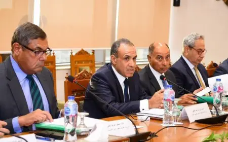 بال .. وزير الخارجية يؤكد حرص مصر على الاستجابة للاحتياجات العاجلة للدول الإفريقية