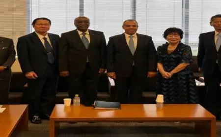 وزير الخارجية يلتقى سكرتير عام رابطة الصداقة البرلمانية اليابانية المصرية