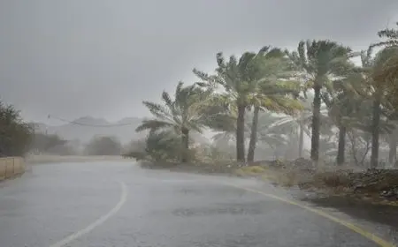 مصرع 11 شخصا وفقدان 14 آخرين بسبب الأمطار الغزيرة في شمال شرق الصين