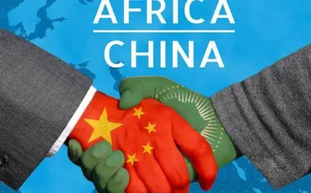 مجلس الأعمال الصيني – الإفريقي: التعاون الاستثماري بين الصين وإفريقيا يعزز التصنيع في القارة السمراء
