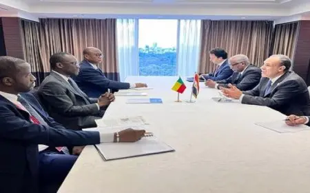 وزير الخارجية يبحث مع وزير خارجية بنين سبل دعم العلاقات الثنائية