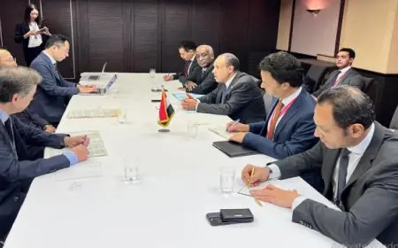 وزير الخارجية يلتقي بالمدير التنفيذي لمنظمة التجارة الخارجية اليابانية “الجيترو”