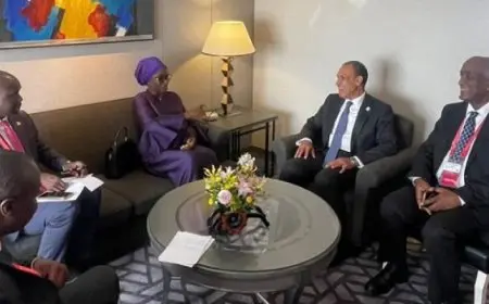 وزير الخارجية يلتقي مع نظيرته السنغالية على هامش مؤتمر التيكاد