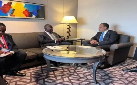 وزير الخارجية يؤكد استعداد مصر لتطوير التعاون الثنائي مع كوت ديفوار