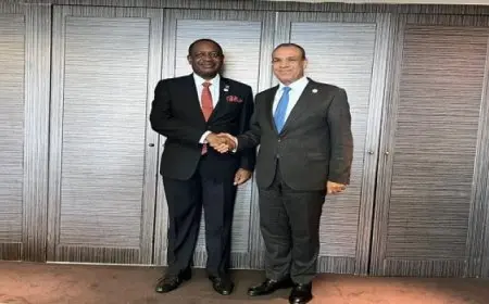 وزير الخارجية والهجرة يشيد بالعلاقات الودية الطيبة التي تربط بين مصر وناميبيا