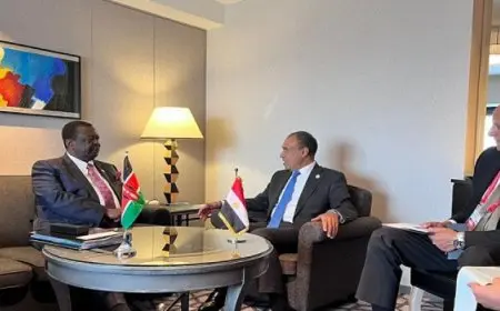 بال .. خلال لقائهما على هامش اجتماع التيكاد .. وزير الخارجية ونظيره الكيني يتفقان على تعزيز الاستثمارات