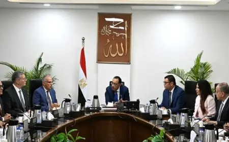 مدبولي يوجه بإيقاف مصدر تلوث مصرف قريب من المنة الجديدة.. وإنشاء محطة صرف صناعي