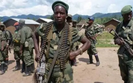 الكونغو الديمقراطية: تجدد الاشتباكات بين متمردي حركة 23 مارس والجيش