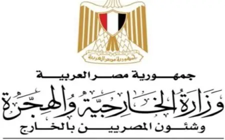 وزير الخارجية والهجرة وشئون المصريين بالخارج يلتقى مع وزير خارجية نيجيريا على هامش الاجتماع الوزاري للتيكاد