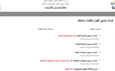 وزارة التعليم العالي تعلن نتيجة المرحلة الثانية لتنسيق القبول بالجامعات لطلاب الثانوية العامة