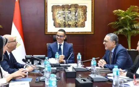 وزير الاستثمار: حريصون على توفير كافة أوجه الدعم لمجموعة سان جوبان مصر لزيادة استثماراتها بالسوق المصري