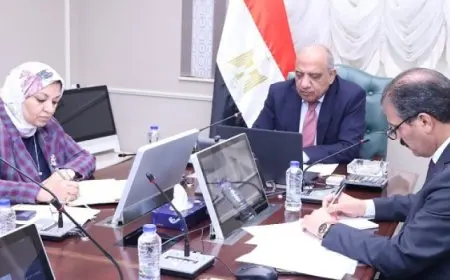 وزير الكهرباء يبحث مع وفد الاتحاد الأوروبي تعزيز التعاون المشترك