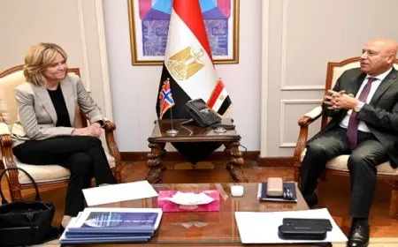 وزير الصناعة والنقل يبحث مع سفيرة النرويج بالقاهرة تعزيز الاستثمارات النرويجية بالسوق المصري