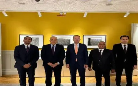 وزير الرى يلتقى وزير البنية التحتية السويدى لبحث تبادل الخبرات بين البلدين فى مجال الموارد المائية