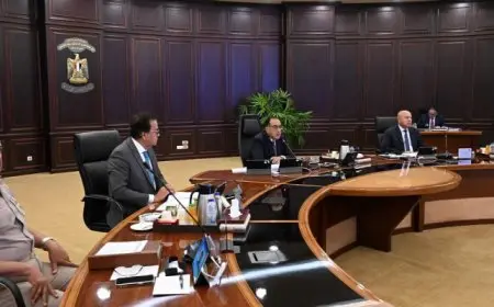 مجلس الوزراء يوافق على تحديد الأسعار الاسترشادية للمحاصيل السكرية لموسم 2025