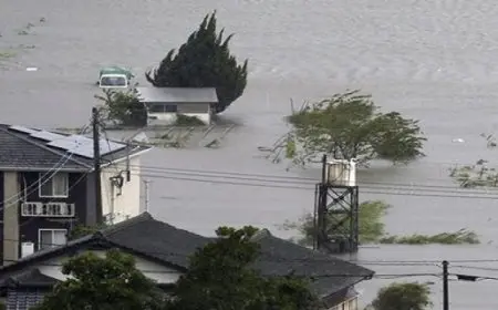 اليابان: مصرع 4 أشخاص وإصابة أكثر من 100 شخص بسبب إعصار شانشان