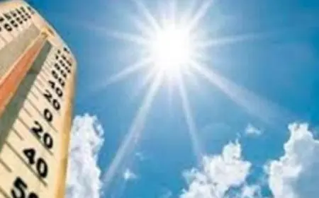 الأرصاد: طقس حار على أغلب الأنحاء والعظمى بالقاهرة 35 درجة