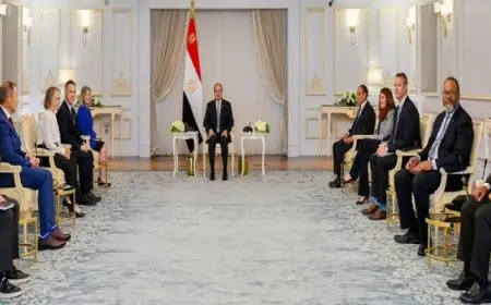 خلال لقائه وفد من الكونجرس الأمريكي.. السيسي يشدد على ضرورة تضافر جهود المجتمع الدولي لوقف التصعيد بالأراضي الفلسطينية