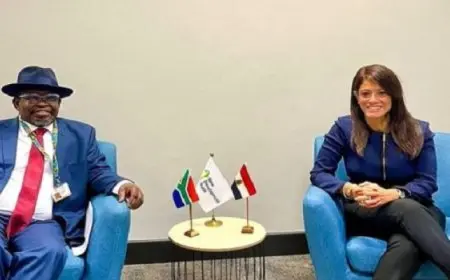 المشاط تلتقي وزير مالية جنوب أفريقيا وتبحث سبل التعاون