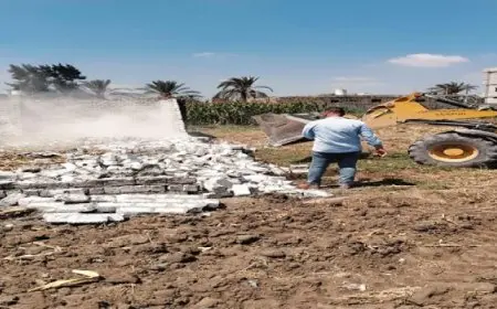 ” الزراعة ” تواصل منع التعديات على الرقعة الزراعية