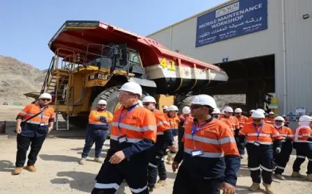 وزير البترول يتفقد منجم السكري