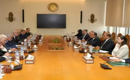 بال .. وزير الخارجية يلتقى مع أعضاء المجلس المصري للشئون الخارجية