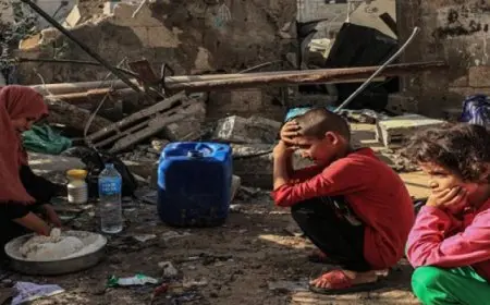 المنظمات الأهلية الفلسطينية: الاحتلال الإسرائيلي يسعى لإنهاء المشروع الوطني الفلسطيني