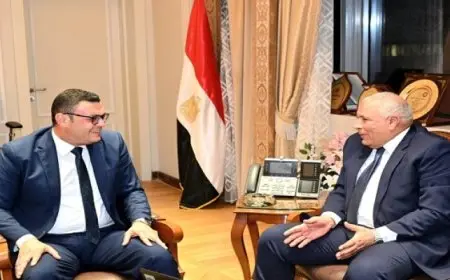 وزير الإسكان ومحافظ الوادي الجديد يتابعان موقف المشروعات المختلفة التي تنفذها وزارة الإسكان بالمحافظة