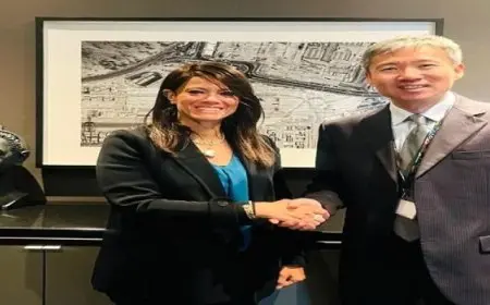 “المشاط” تبحث مع”التعاون متعدد الأطراف”الاستفادة من منح إعداد دراسات الجدوى