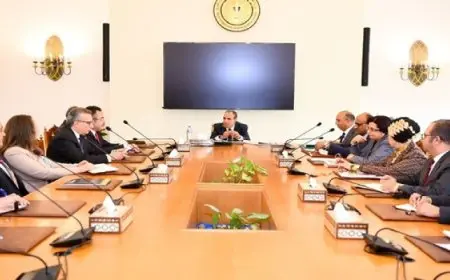 وزير الخارجية يجتمع مع قيادات وأعضاء القطاع الإفريقي