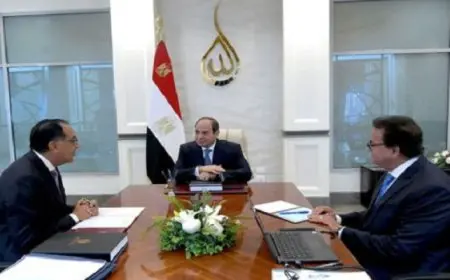 بال .. الرئيس السيسي يوجه بالانتهاء من صياغة الخطط التنفيذية لمبادرة المشروع القومي للتنمية البشرية