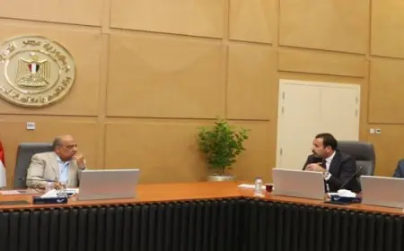 وزير الكهرباء ومدير جهاز مستقبل مصر للتنمية المستدامة يبحثان التنسيق والتعاون