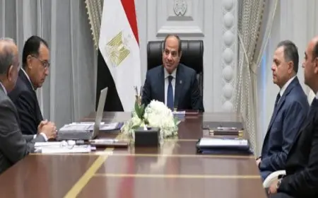 الرئيس السيسي يوجه بتكثيف العمل بالمشروعات الجاري تنفيذها في مجال الطاقة المتجددة