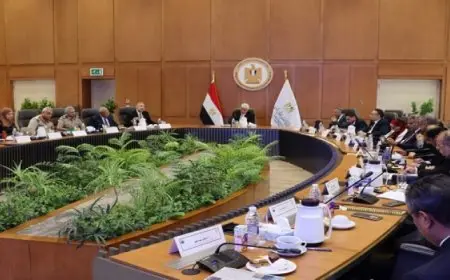 وزير التعليم العالي يؤكد أهمية تبني استراتيجيات بحثية تركز على الصناعات المستقبلية